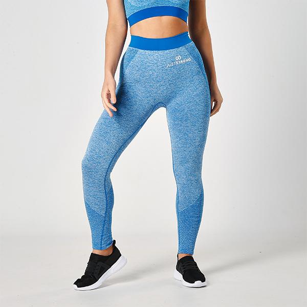 sapphire-seamless-sculpt-leggings1-1
