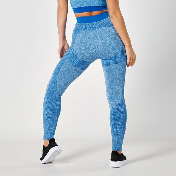 sapphire-seamless-sculpt-leggings4