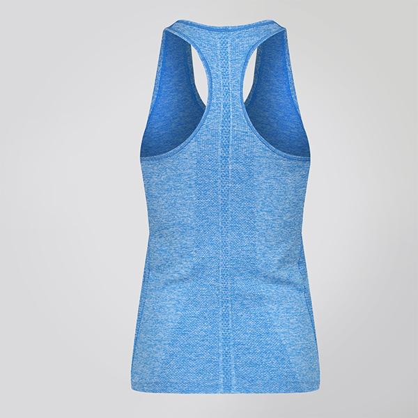 sapphire-seamless-sculpt-tank2